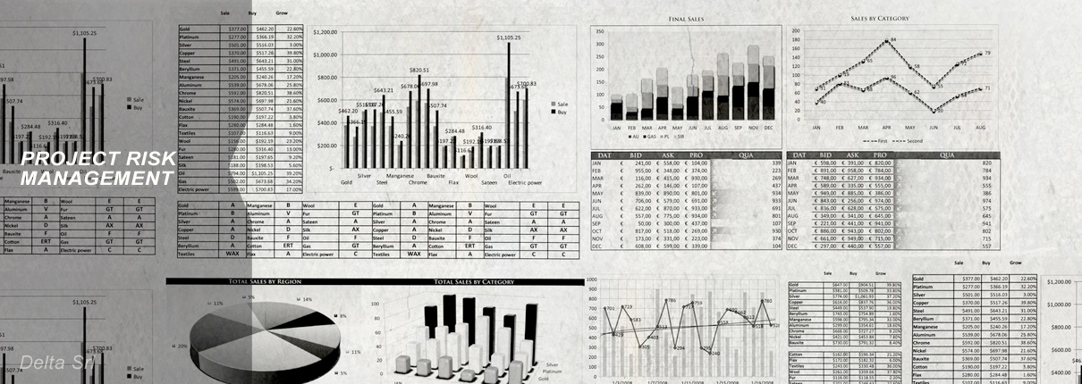 PROJECT RISK MANAGEMENT